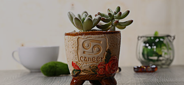 動物植物-3D打印掃描建模